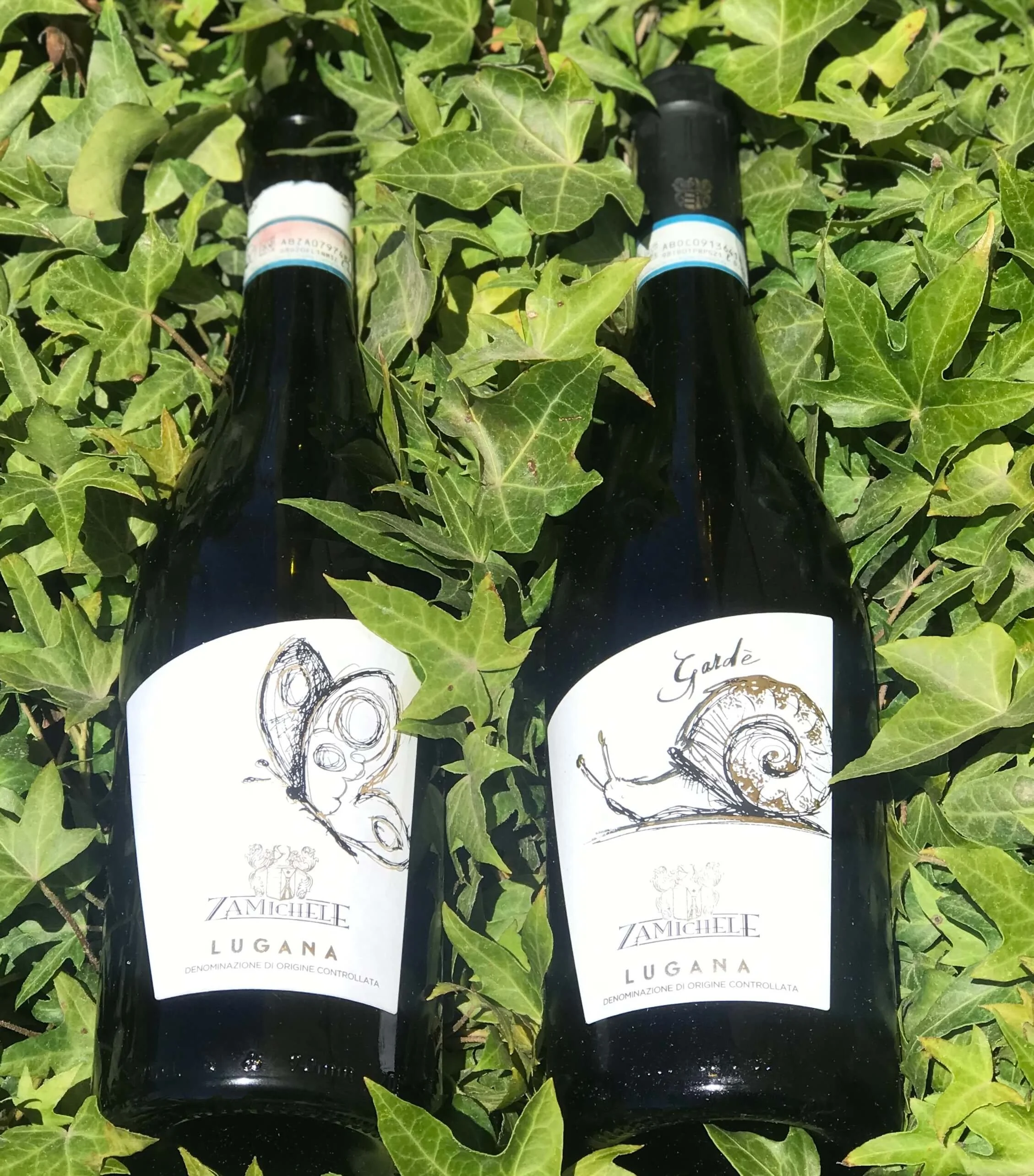 Lugana: The Underappreciated Italian Gem — Vero